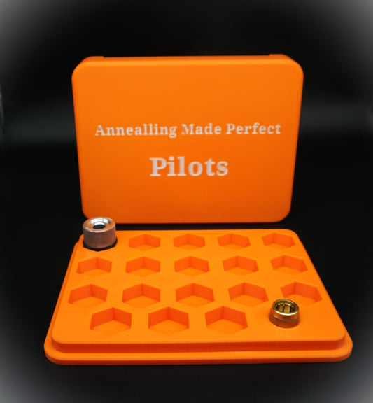 Annealing Made Perfect Storage Case